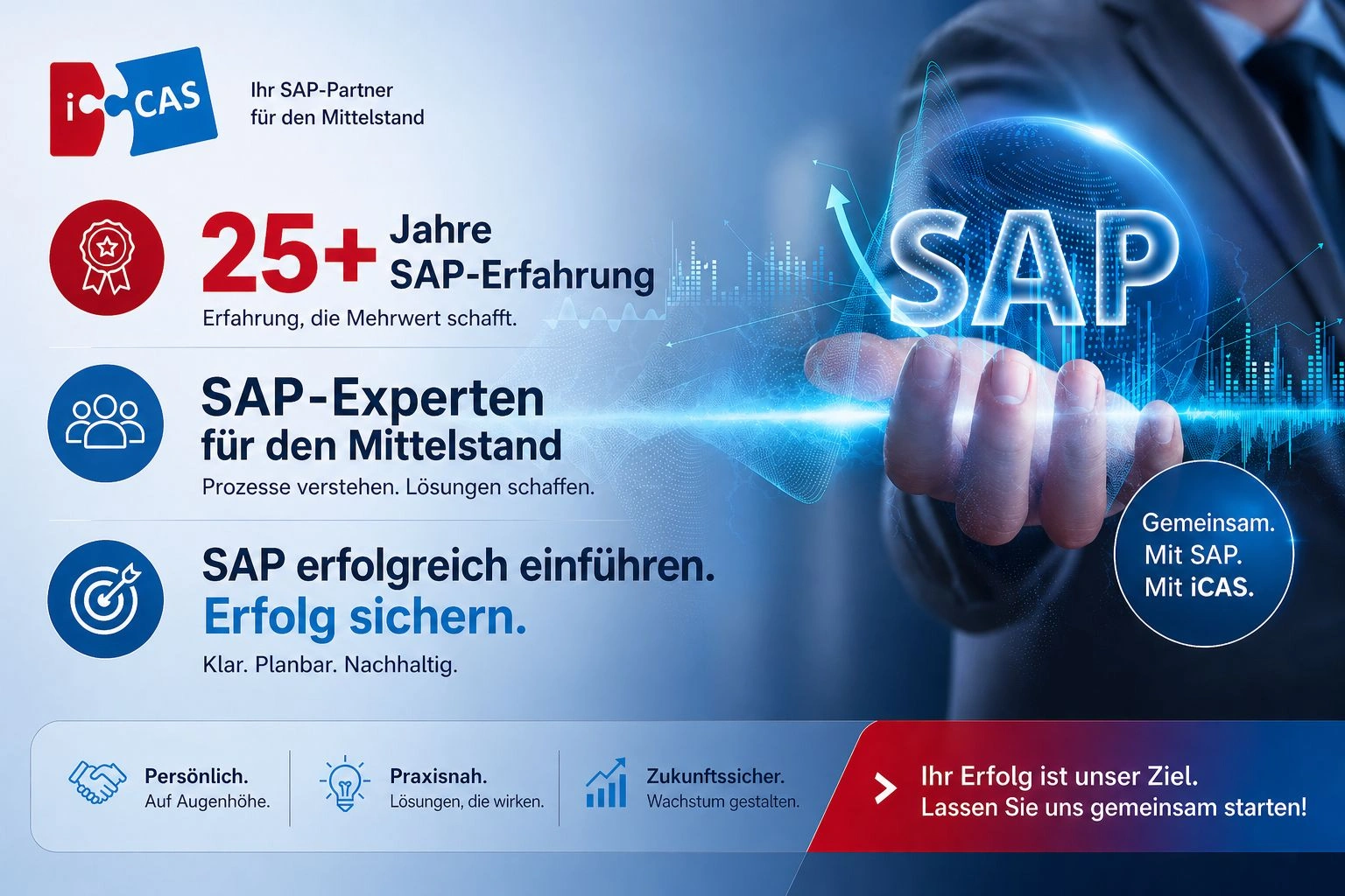 iCAS SAP-Partner